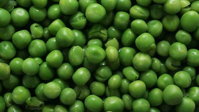 Las arvejas argentinas llegarán a China tras siete años de negociaciones