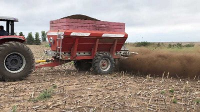 Cómo responde el maíz al compost de estiércol bovino y vinaza