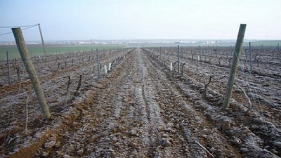 Se registran las primeras heladas en la zona centro sur del área agrícola nacional