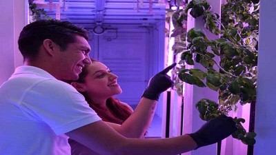 Covid-19 impulsa la agricultura urbana para garantizar la seguridad alimentaria