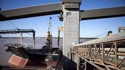 Actualización del protocolo para prevenir granos coloreados