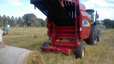 Elaborar forrajes conservados, una alternativa frente a la incertidumbre