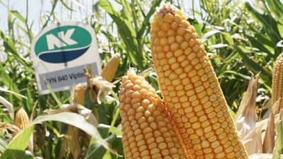 NK inicia su campaña comercial 2020