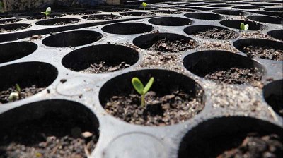 La BCR se integró al programa Bolsas de Valores Sostenibles de la ONU