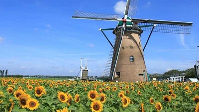 Productores europeos piden a Bruselas medidas para contener la importación de proteínas, aceites y biocombustibles