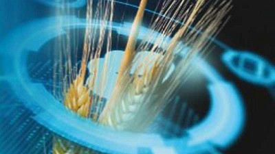 Retos y oportunidades de la nutrición avícola en el futuro