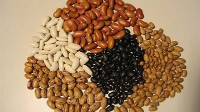 Autoproducción de semillas, un camino hacia la seguridad alimentaria