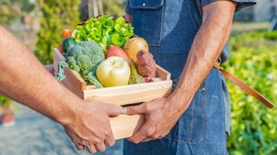 Europa: agricultores denuncian que la crisis COVID-19 disparó las prácticas comerciales desleales