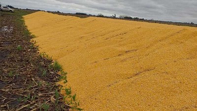 Preocupación en productores agropecuarios por reiterados hechos de inseguridad rural