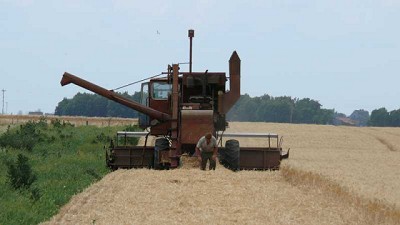 Buenas perspectivas para la campaña de fina bonaerense