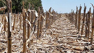 Nuevas problemáticas en barbecho, todas las soluciones