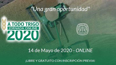 A Todo Trigo: todas las respuestas en un solo lugar
