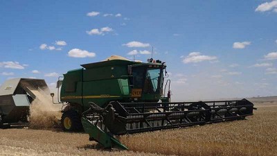 China impone aranceles del 80% a la cebada australiana ¿Represalia?