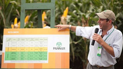 Maíces sileros, para que el animal digiera mejor y produzca más