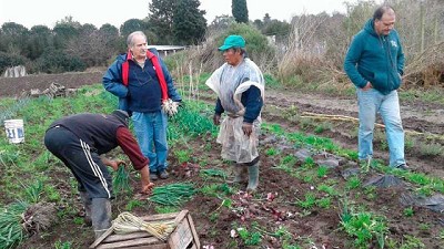 La pandemia impulsa cambios en la horticultura