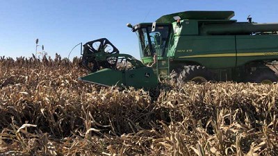 Se mantiene el adelanto en la cosecha y en la siembra en toda el área agrícola