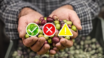 Semáforo de Economías Regionales: Las hortalizas mostraron un crecimiento debido a cambios de hábito de consumo en cuarentena