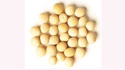 Conversaciones con los expertos: Perspectivas del mercado de arvejas