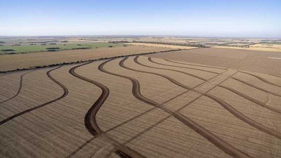 Terrazas suaves y forestación, tendencia en consorcios agrícolas de conservación