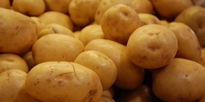 McCain y la Red Argentina de Bancos de Alimentos  superan las 5.000 toneladas de papas donadas