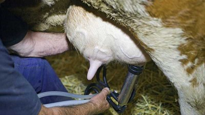 Altos funcionarios de gobiernos y representantes del sector lácteo debaten el impacto del Covid-19 y el futuro de la lechería en las Américas