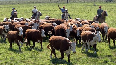 El país puede crecer con el Campo y salir rápidamente de la pobreza; con M. Cisneros y R. Bindi