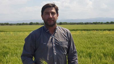 Un herbicida versátil es clave para ganarle a las malezas de invierno