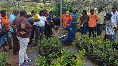Los ministros de Agricultura del Caribe exploran opciones de financiamiento para paliar efectos de la pandemia en el agro