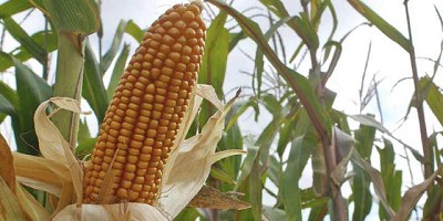 Más producción y más consumo, por Pablo Adreani