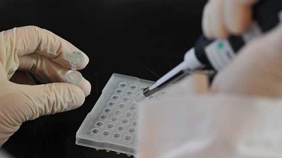 Utilizan nanobiotecnología para el desarrollo de vacunas