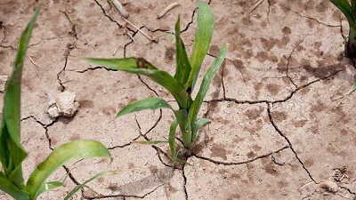 Clima: un factor de riesgo, potenciado por el cambio climático