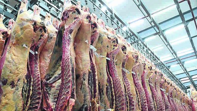 Controles chinos por COVID-19: realizan auditorías web en dos frigoríficos uruguayos