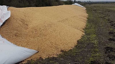 El sector agropecuario y un nuevo ataque contra la propiedad privada