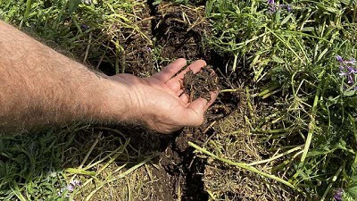 Huella de Carbono y la Siembra Directa