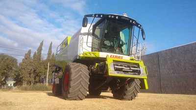 Con la cosecha en la sangre