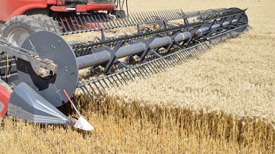 Vuelven los fondos del BICE para financiar la maquinaria nacional