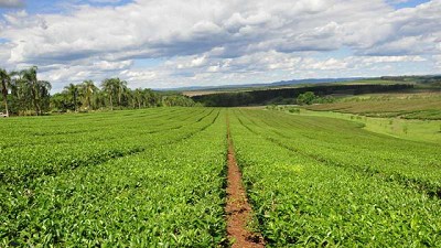 Dos nuevas empresas obtienen el sello de Calidad 