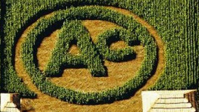 En búsqueda de nuevas estrategias biotecnológicas