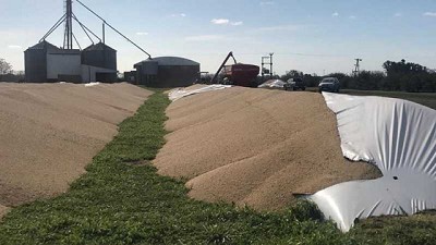 El diputado Buryaile presentó proyecto contra la Violencia a la Producción