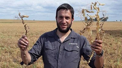 La arveja gana terreno en el mundo y hay que saber producirla