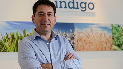Indigo anuncia su nueva estructura con foco en la región