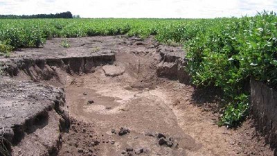 Erosión: cómo revertir la degradación del suelo