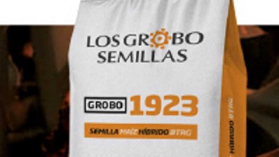 Grupo Los Grobo presenta su primer maíz de marca propia