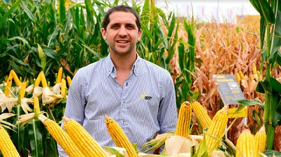 Nicolás Brandstater - El maíz, la soja, y por qué hay que apuntar a seguir mejorando el manejo