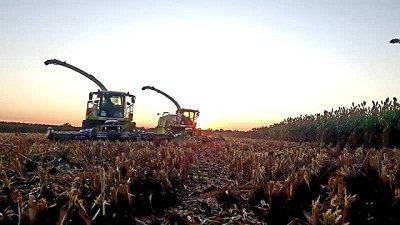 Tecnologías para confeccionar silajes inteligentes