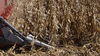 Los cabezales nacionales se abren camino en mercados de todo el mundo