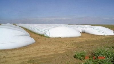 Ataque a Silobolsas: Farer cree que 