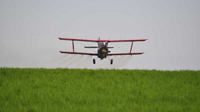 Con fertilización aérea el rinde de arroz aumentaría a unos 1000kg/ha