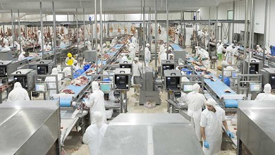 En el primer semestre crecieron las exportaciones de agroalimentos