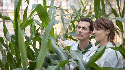 KWS celebra 15 años de mejoramiento en Argentina